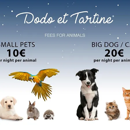 Attractive Studio Downtown - Dodo Et Tartine * イエール
